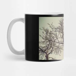 Entwined Mug